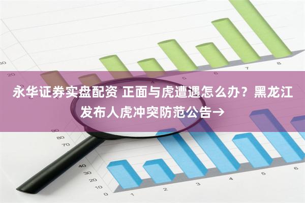永华证券实盘配资 正面与虎遭遇怎么办？黑龙江发布人虎冲突防范公告→
